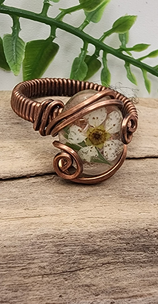 Forget me not ring- Vintage Bronze wire wrapped